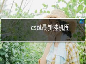 csol最新挂机图