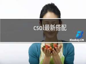 csol最新搭配