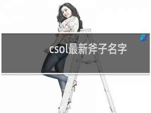 csol最新斧子名字