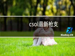 csol最新枪支
