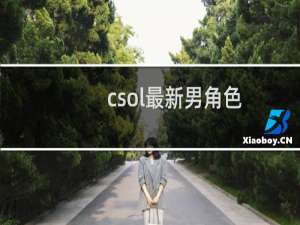 csol最新男角色
