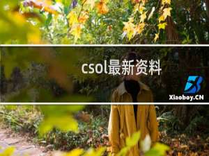 csol最新资料