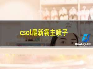 csol最新霸主喷子