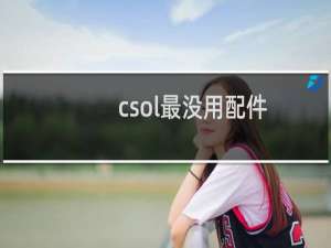 csol最没用配件