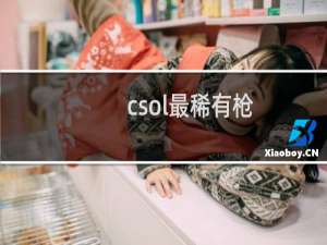 csol最稀有枪