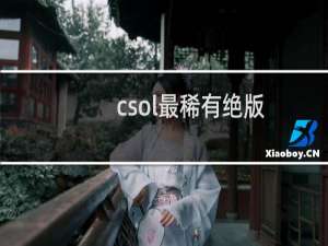 csol最稀有绝版