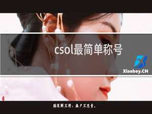 csol最简单称号