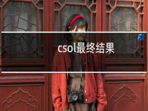 csol最终结果