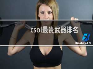 csol最贵武器排名