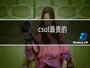 csol最贵的