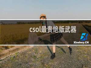 csol最贵绝版武器
