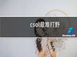 csol最难打野