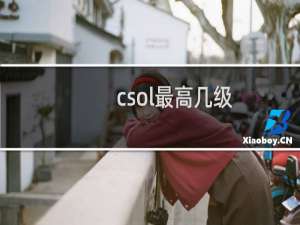 csol最高几级