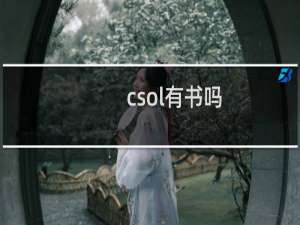 csol有书吗