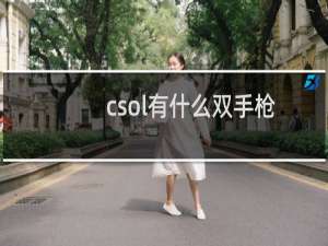 csol有什么双手枪