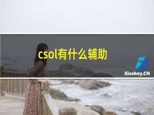 csol有什么辅助