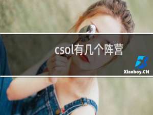 csol有几个阵营