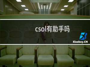 csol有助手吗