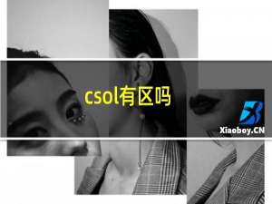 csol有区吗