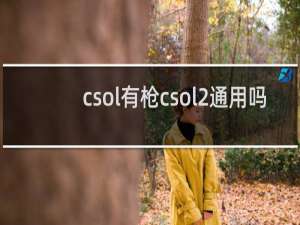 csol有枪csol2通用吗