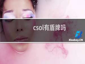 csol有盾牌吗