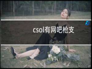 csol有网吧枪支
