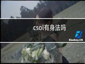 csol有身法吗