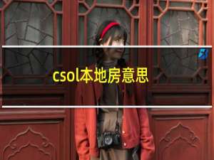 csol本地房意思