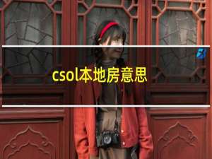 csol本地房意思