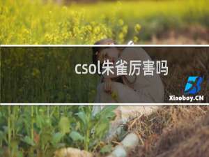 csol朱雀厉害吗