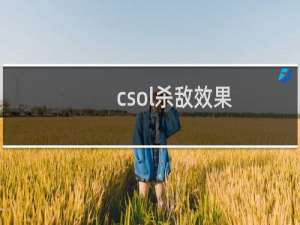 csol杀敌效果