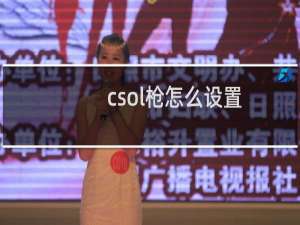 csol枪怎么设置