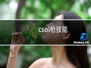 csol枪技能