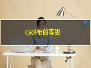 csol枪的等级