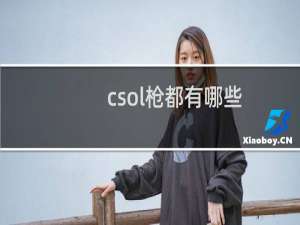 csol枪都有哪些