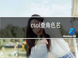 csol查角色名