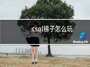 csol梯子怎么玩