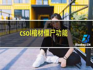 csol棺材僵尸功能