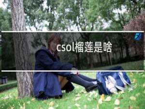 csol榴莲是啥