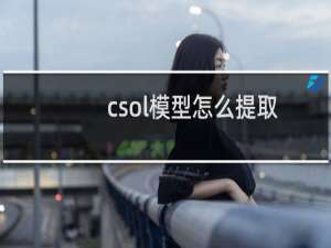 csol模型怎么提取