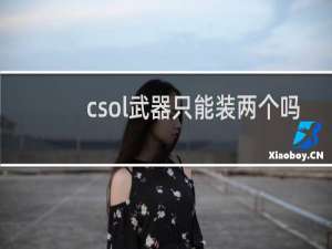 csol武器只能装两个吗