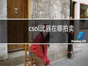 csol武器在哪拍卖