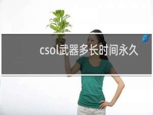 csol武器多长时间永久
