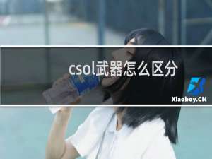 csol武器怎么区分