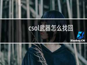 csol武器怎么找回