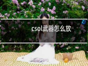 csol武器怎么放