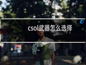 csol武器怎么选择