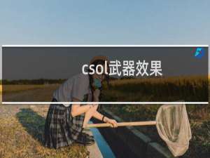 csol武器效果