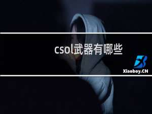 csol武器有哪些