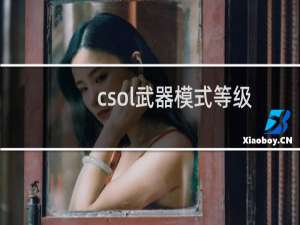 csol武器模式等级